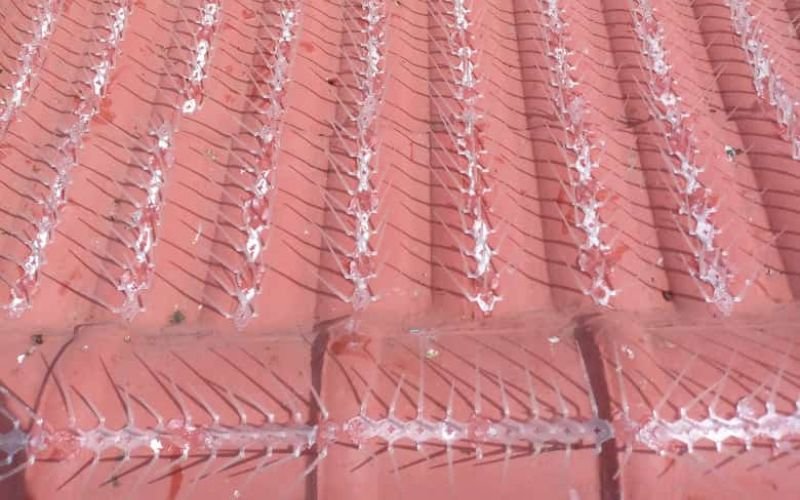 IT Consulting & Support